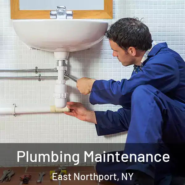  Plumbing Maintenance East Northport, NY