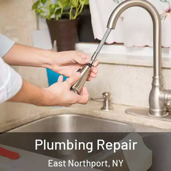  Plumbing Repair East Northport, NY