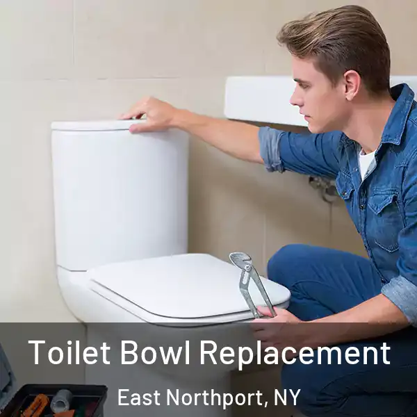  Toilet Bowl Replacement East Northport, NY