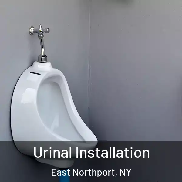  Urinal Installation East Northport, NY